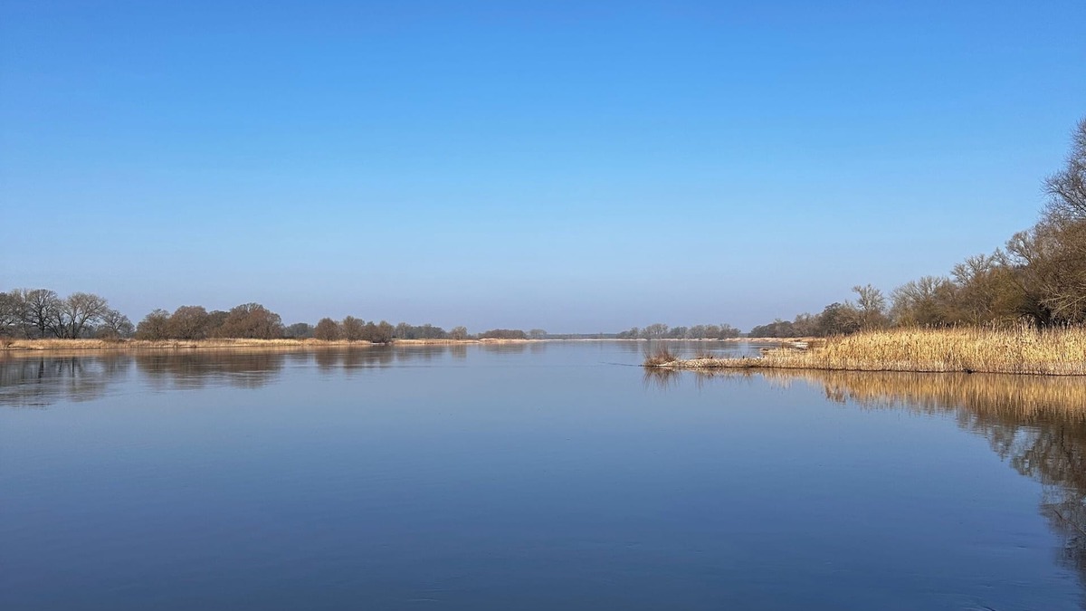 Domitz Apartment | In the middle of the nature reserve directly on the Elbe. Lovely modern vacation apartment