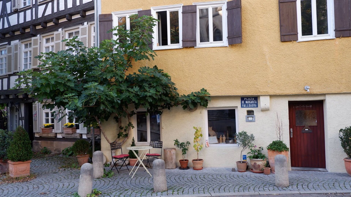 Tuebingen Apartment | In the middle of Tübingen's old town - and live quietly on a sunny 65 sqm!
