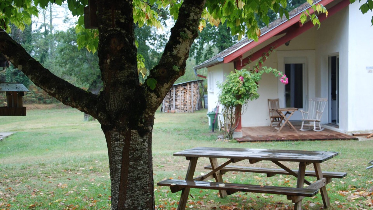 Lencouacq House | In the shade of the great oaks or in front of a roaring fire