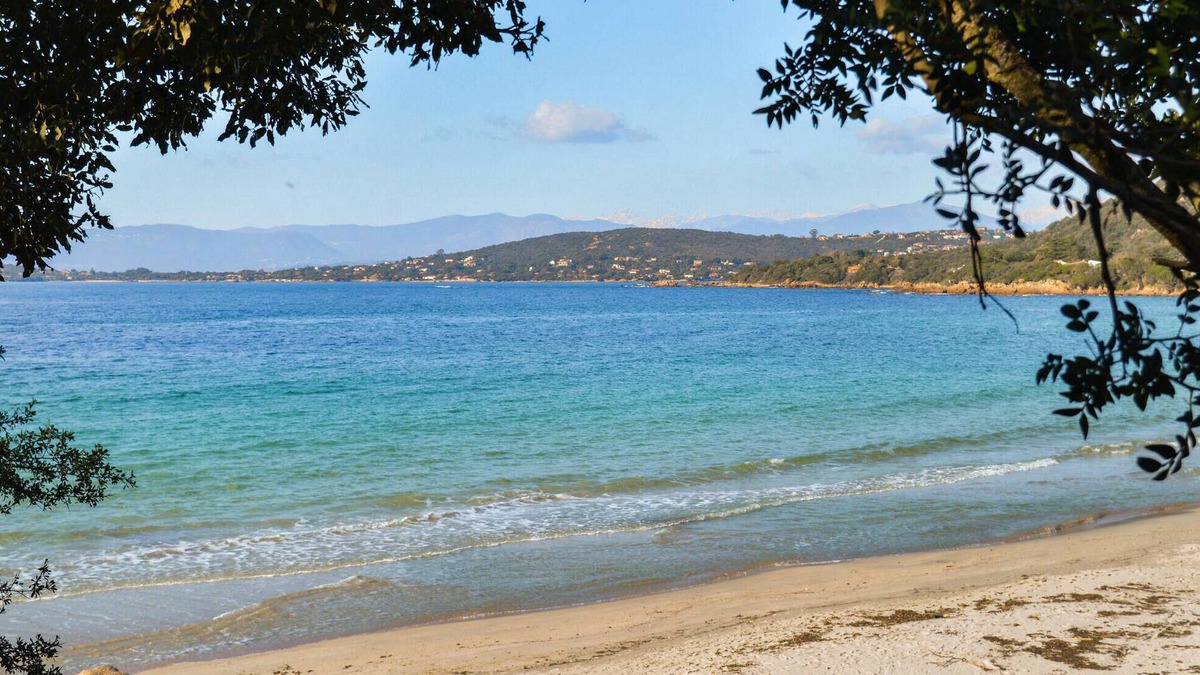 Bastelicaccia Apartment | In this vacation apartment with a magnificent sea panorama, the vacation becomes a pleasure.
