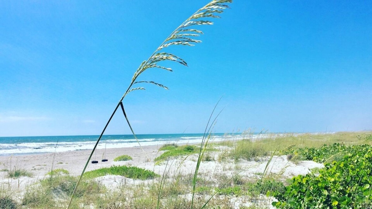 Crescent Beach Condo | INCREDIBLE Direct Oceanfront 2 BR Condo! Waterfall Countertops, Luxury Feel!