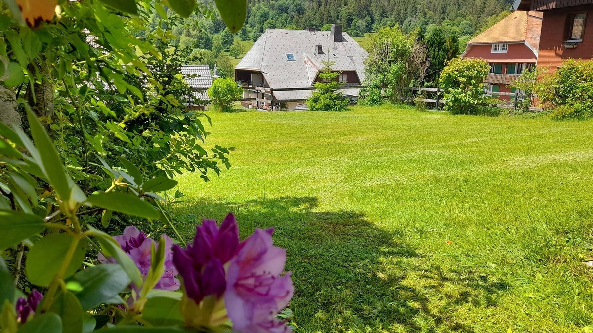 St. Blasien Apartment | Incredibly beautiful holiday home in the southern Black Forest