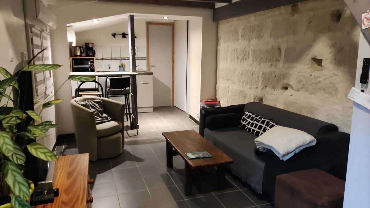 Nazelles-Negron Apartment | Independent apartment in Amboise