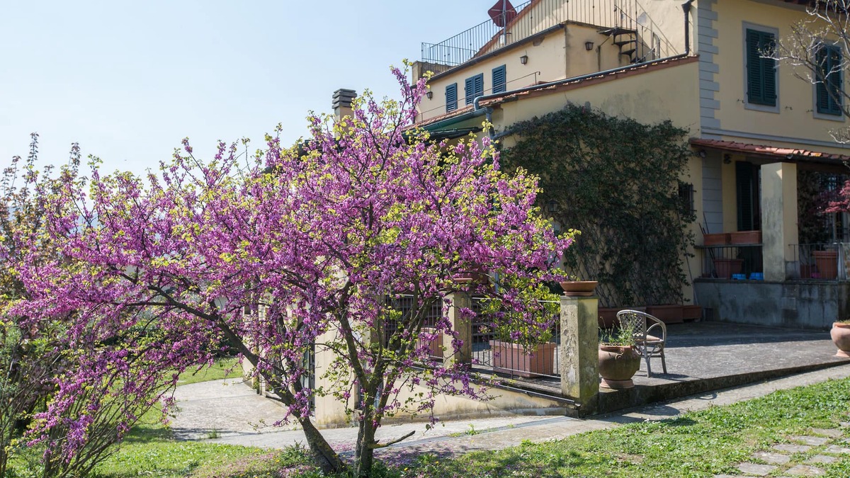 Fiesole Villa | Independent loft on the Florence's Hills