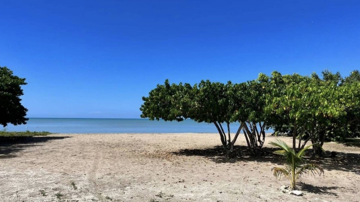 Crane corner House | Indigo Beach Villa - Black River