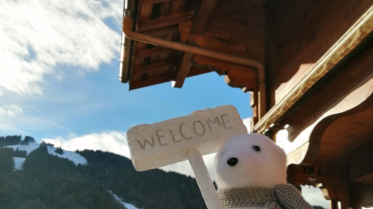 Morzine Ski Chalet | Individual 4* chalet, south-facing, with breathtaking views, free Multipass (summer).