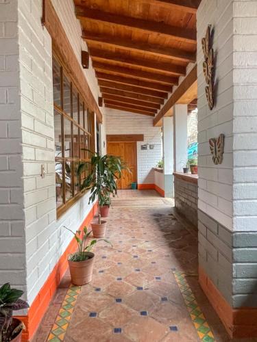 Mascota Hotel | Infinito Cielo Hotel Boutique