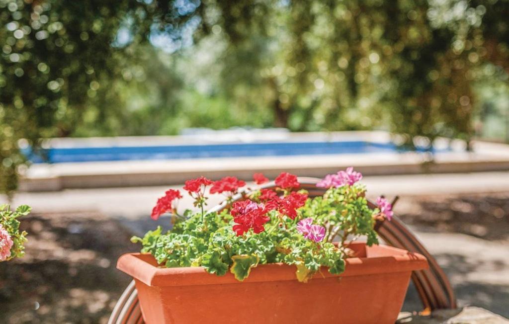 Riudoms House | InmoBooking Family House Holidays