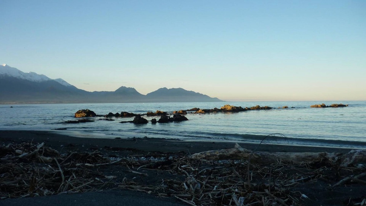 Kaikoura Bed & Breakfast | Inn the Bay Bed & Breakfast