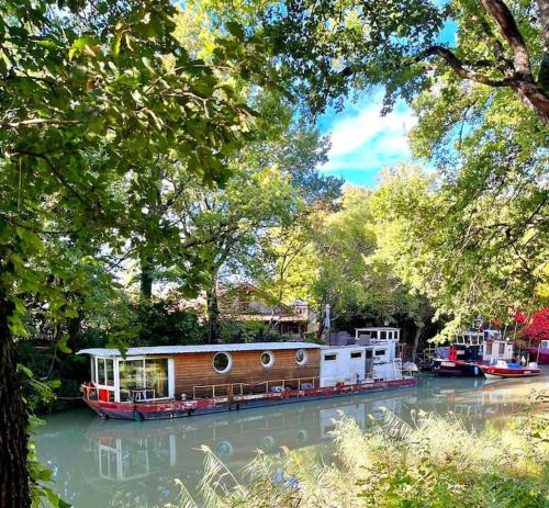 Gardouch Boat Rental | Insolite Péniche Amazonie canal du midi