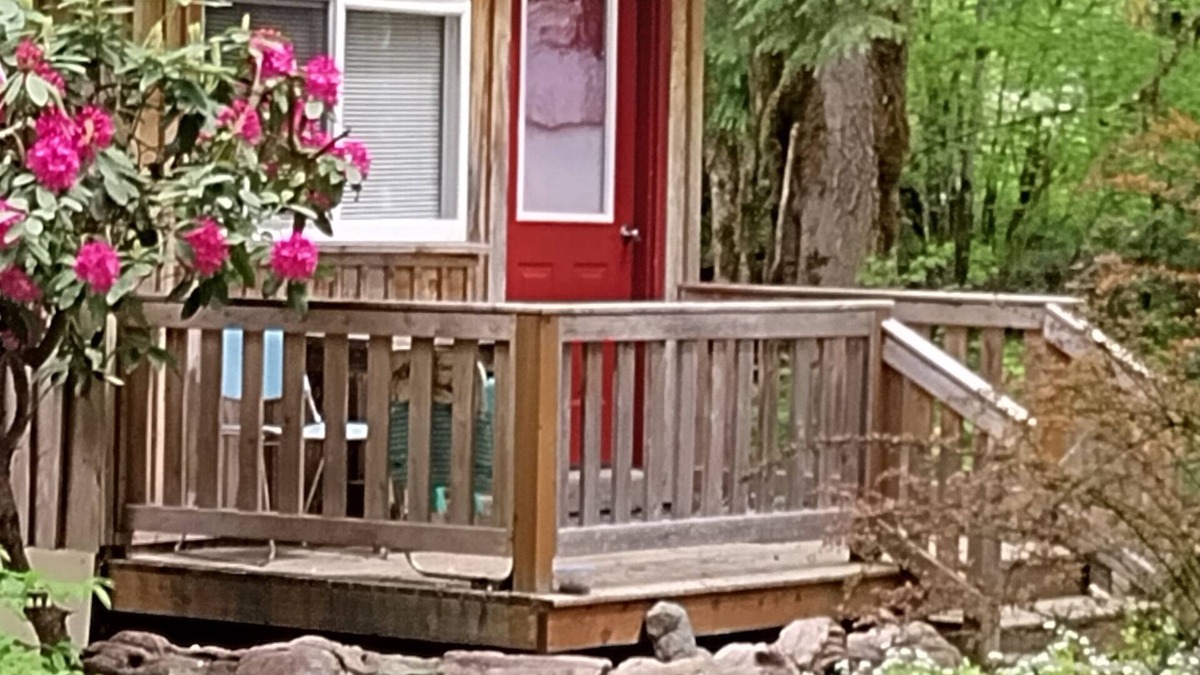 Marblemount Cabin | Intimate cabin for two near the entrance to the North Cascades - walk to shops