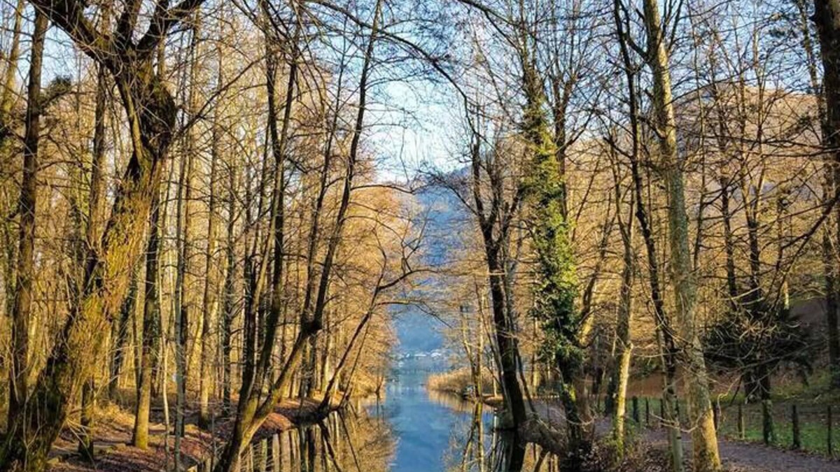 Ranzanico Apartment | Inviting 1-bed Apartment With Box and Seeviews