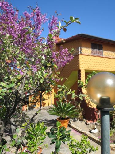 Porto Ottiolu Apartment | Iocchedda