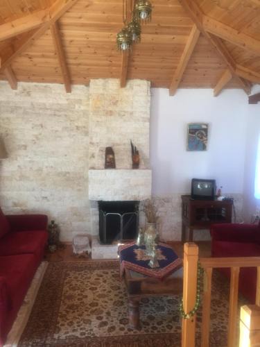 Dodoni House | Ionas House
