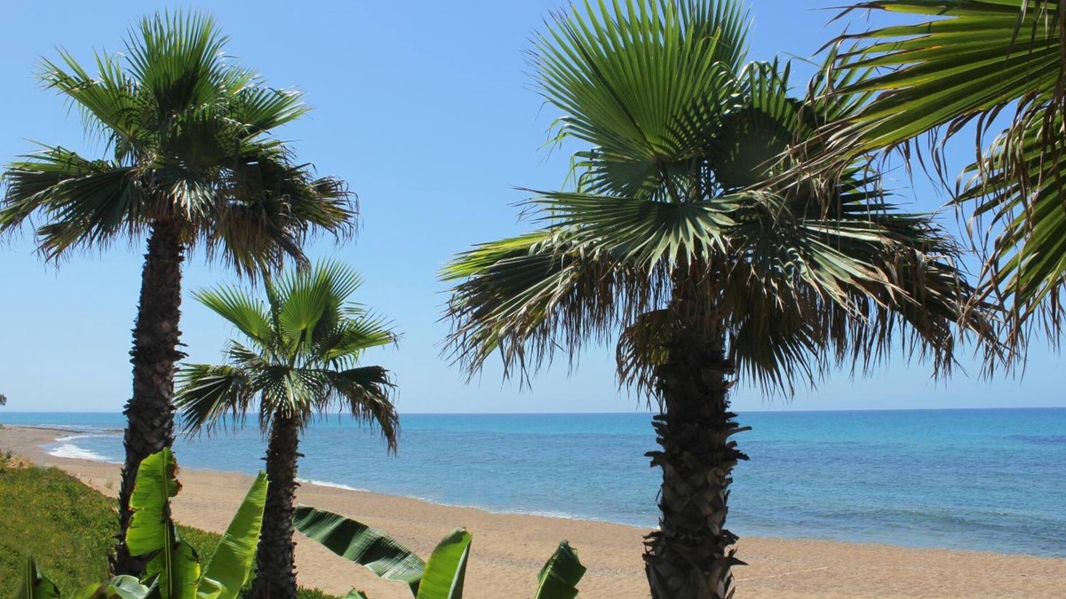 Arcoudi Apartment | Ionion Beach Apartment Hotel