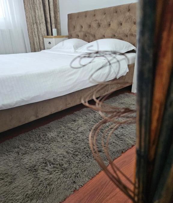 Oradea Apartment | Iosia Premium Apartment