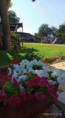 Limni House | Irini's country house