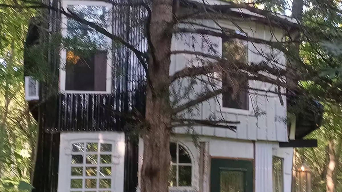 Knoxville House | Irving's Gnome Dome Mushroom Sculpture Tiny House