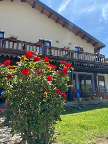 Desulo Bed & Breakfast | Is Cubas