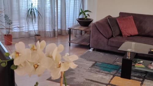 Nicosia Apartment | Isabella Modern flat City Center Nicosia