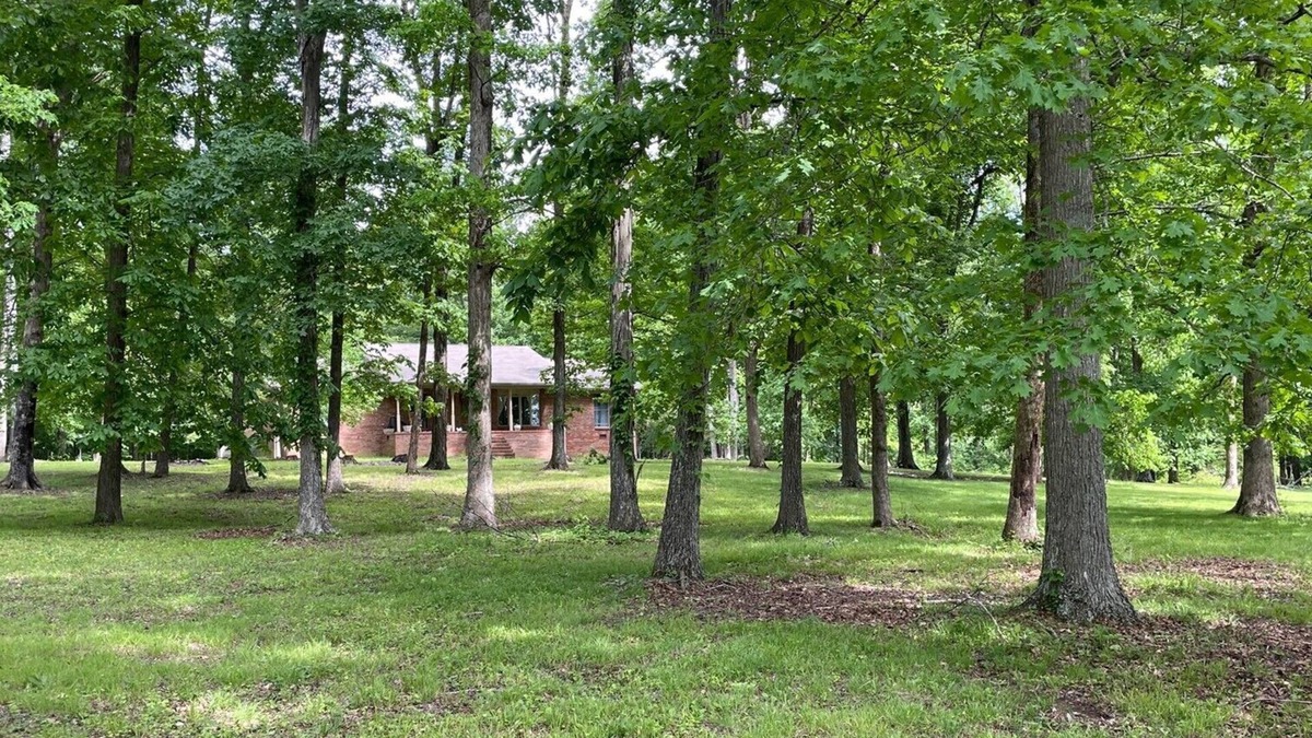 Dickel House | Isolated wooded home safe and quiet. Perfect for getting away from it all!
