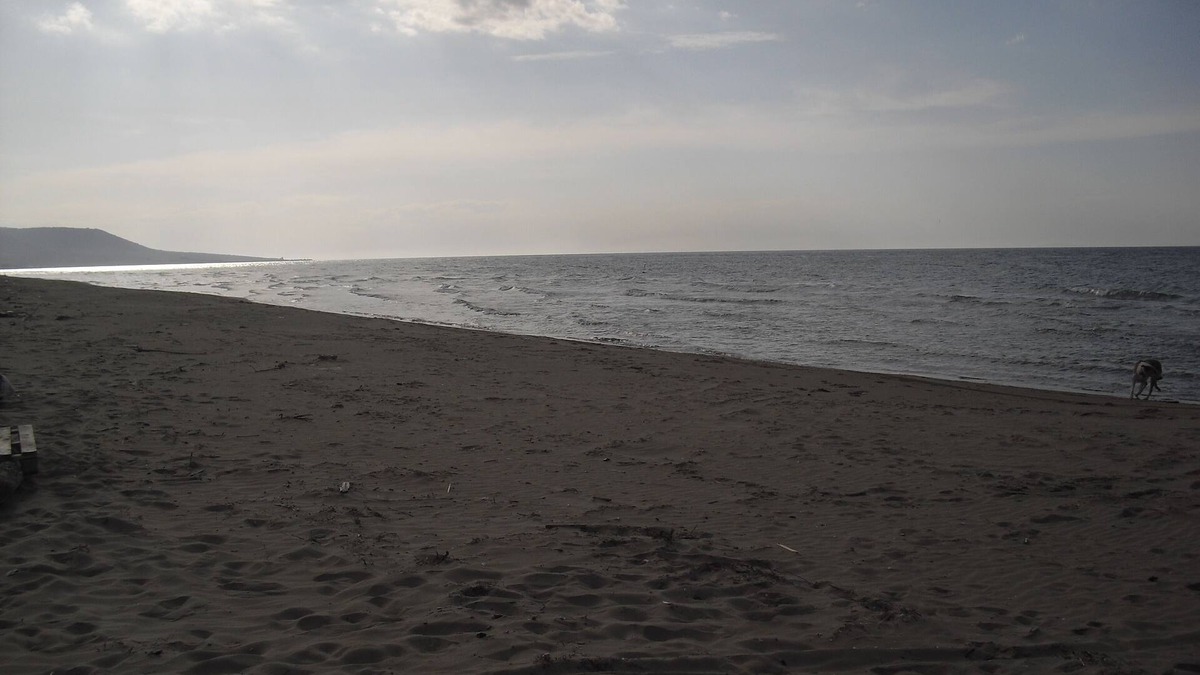 Cagnano Varano Apartment | the relaxation apartment is ideal for recharging and facing a working year