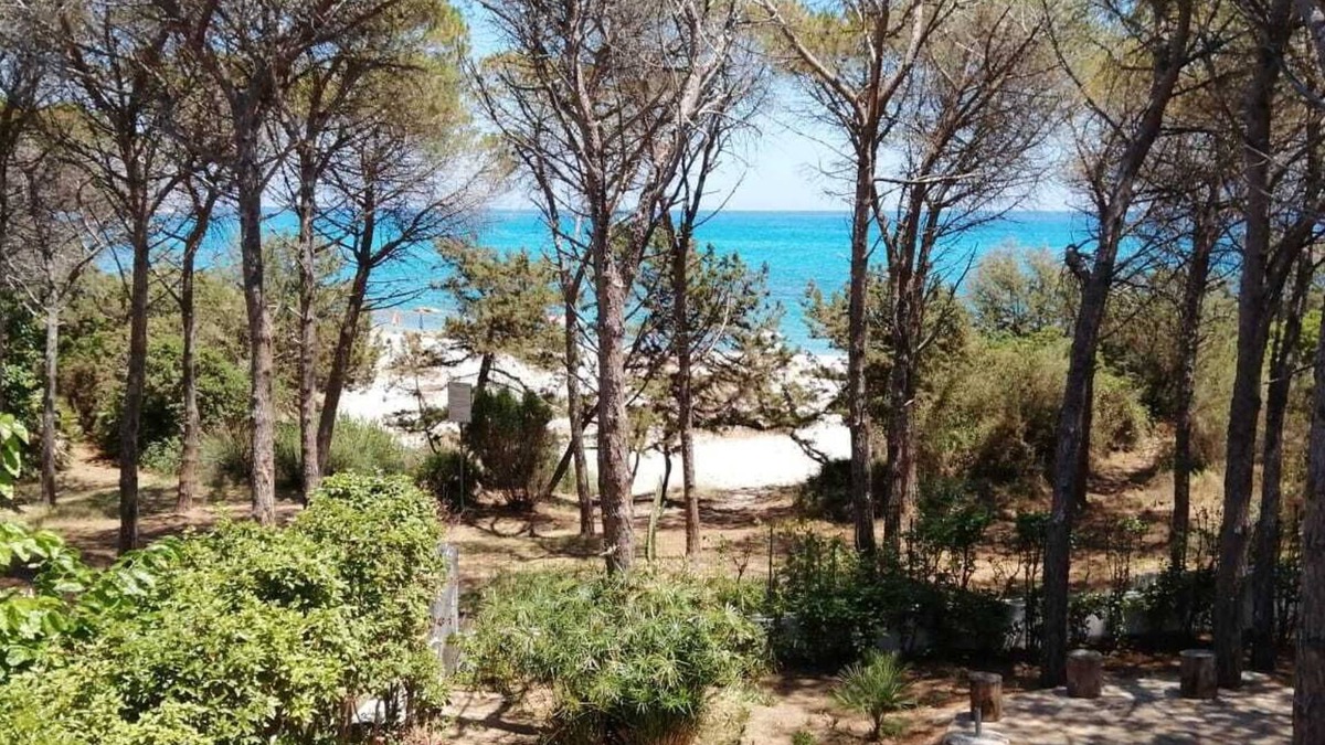 Cala Liberotto Apartment | PINE CONE DIRECT ACCESS TO THE BEACH (NO WIFI) CIN IT091063C2000S5156