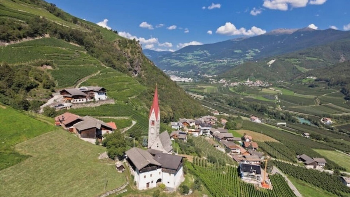 Cortina Sulla Strada del Vino Apartment | Winery Hofer Hof - CA. TRAMINER