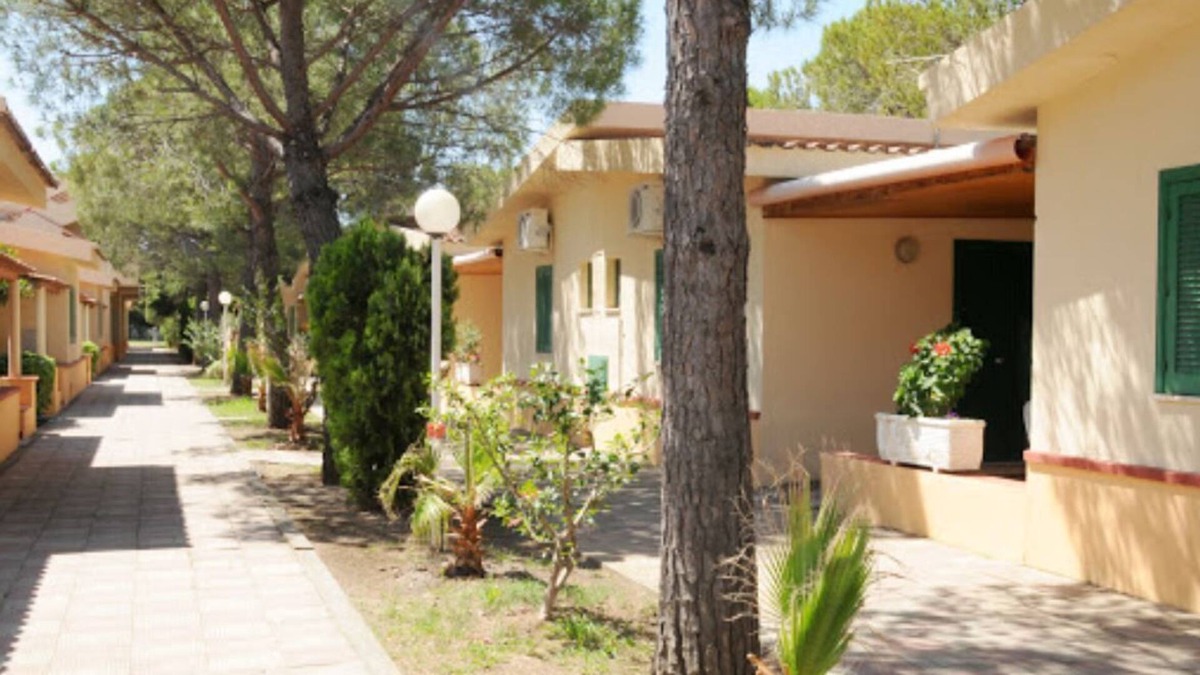 Santa Maria del Cedro House | Bungalows surrounded by greenery a stone's throw from the sea