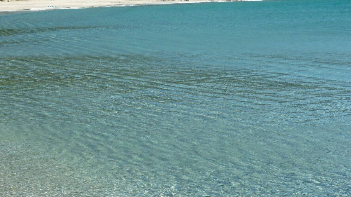 Torre delle Stelle Villa | ROSEMARY VILLA Just a few steps from the beach