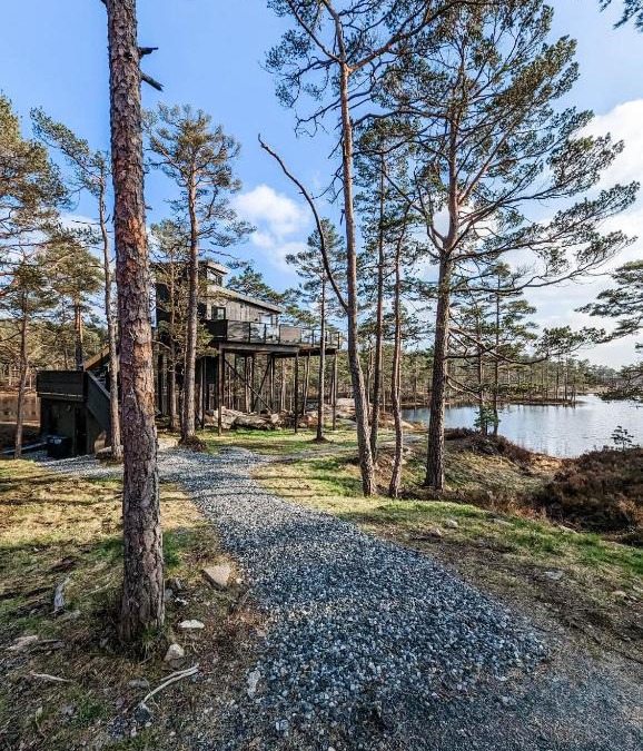 Iveland House | Iveland Tree Top Panorama - Furukrona