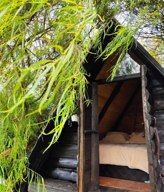 La Calera Other | Iwoka Ecoturismo