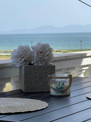 Paralia Ofryniou Apartment | J&J Seaview Apartment