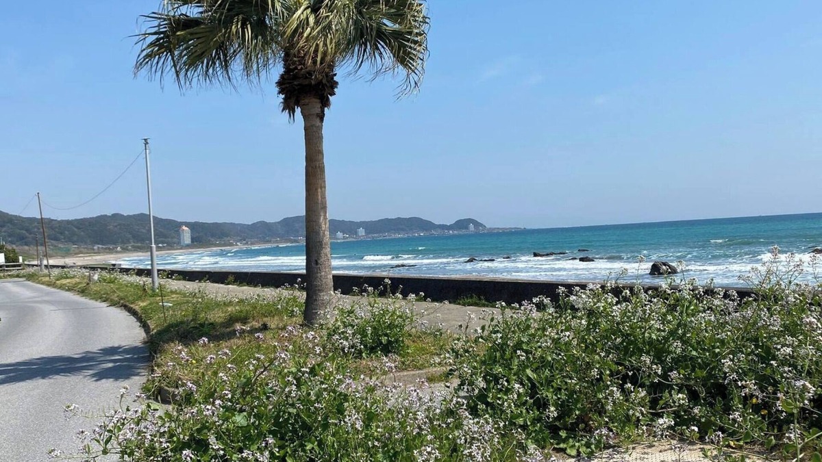 Minamiboso House | J RoomK Room for rent 10 seconds to the sea The/Minamiboso Chiba