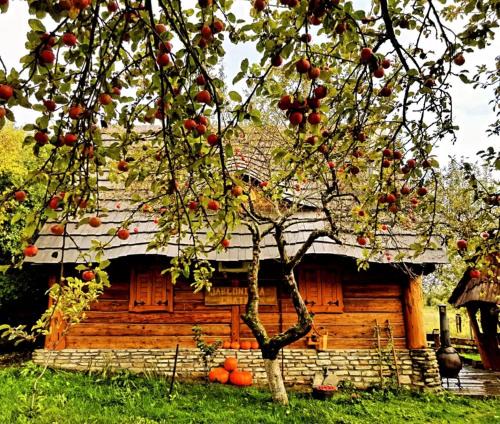 Kalwaria Pacawska Ski Chalet | Jabłoniowa Chatka