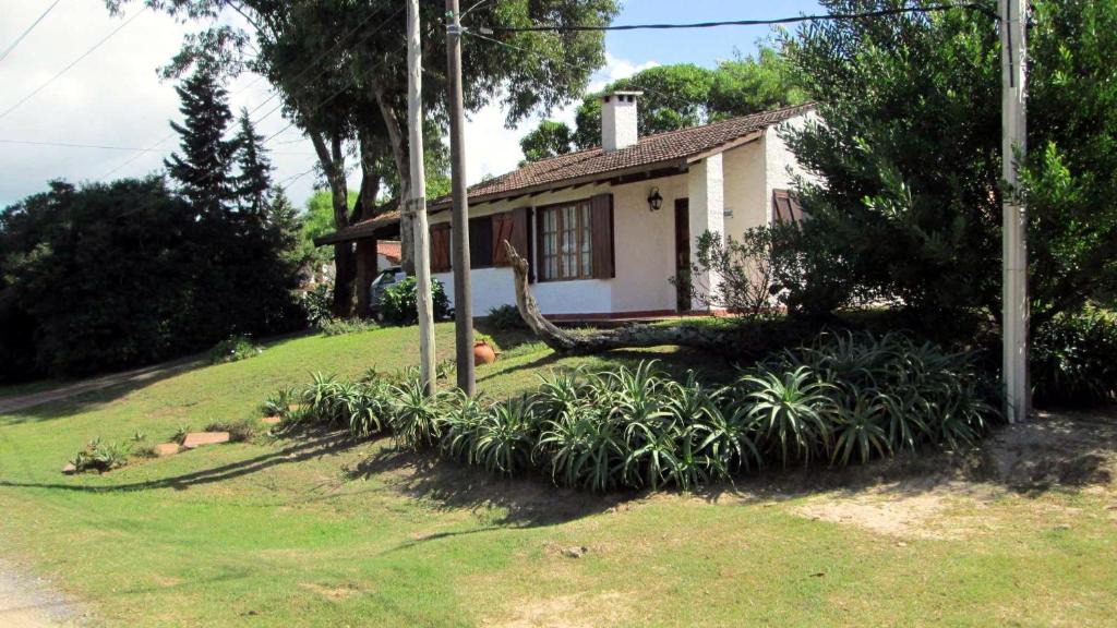 La Aguada House | Jacarandá