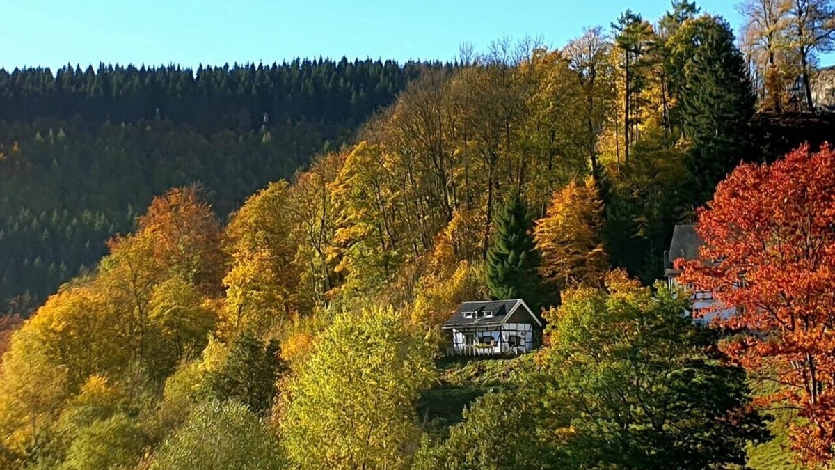 Nordenau Cabin | Jachthaus am Rappelstein