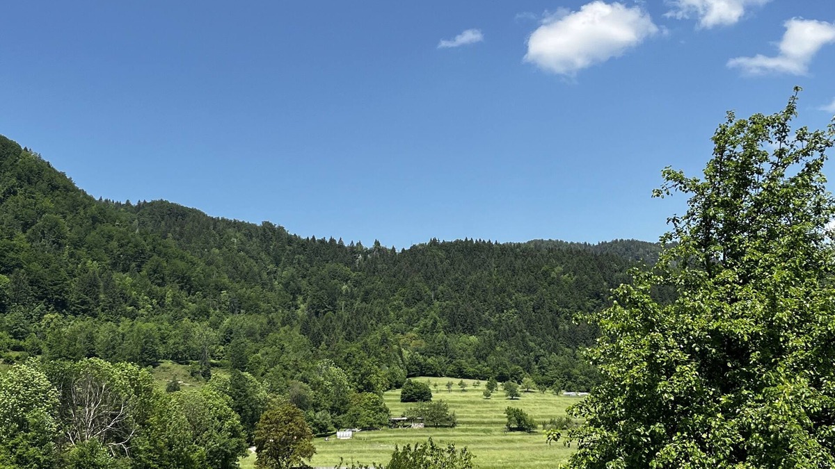 Bohinjska Bela Apartment | Jack's spacious apartment with amazing mountain view