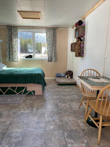 Jade City Bed & Breakfast | Jade City Dog House