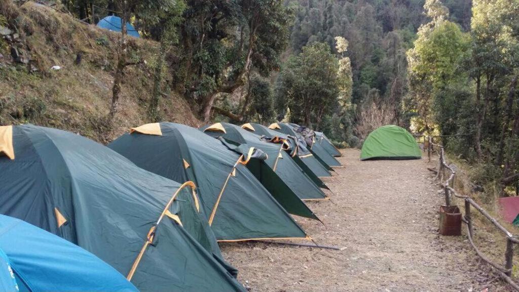 Kausani House | Janardan Campsite Kausani