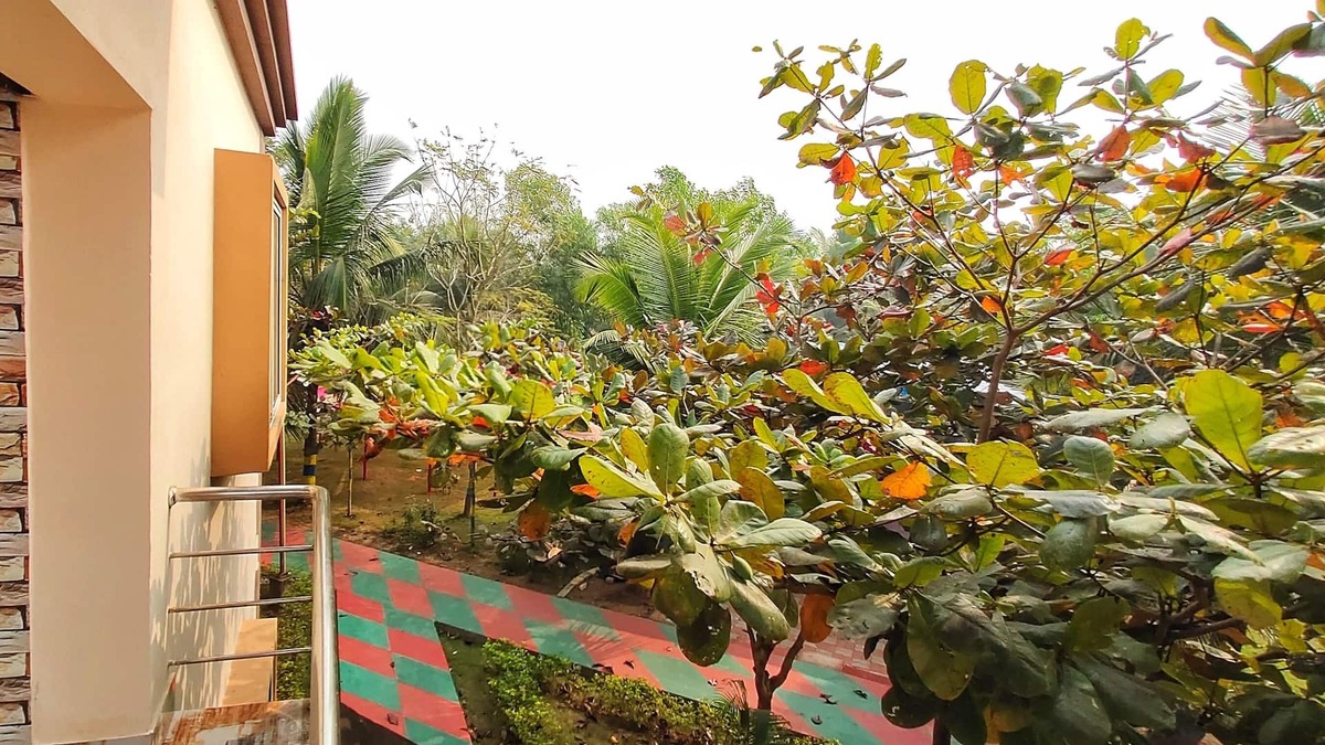 Garoi Other | Janardan Kings Coco Palms Resort Konark