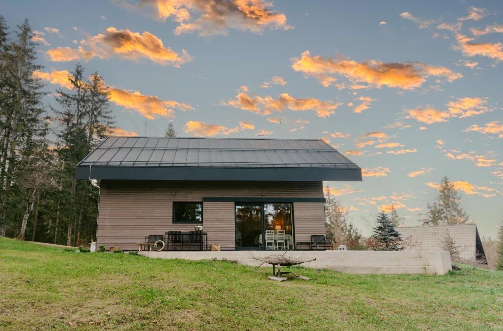 Bloke House | Janina's Dragonfly house