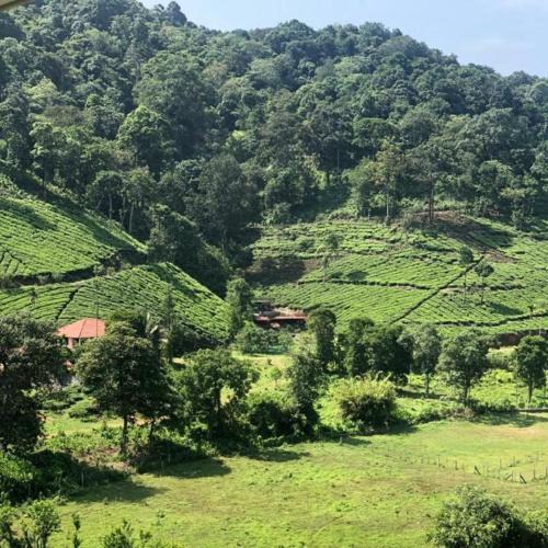 Lakkidi House | Janiro Tea Trees Villas