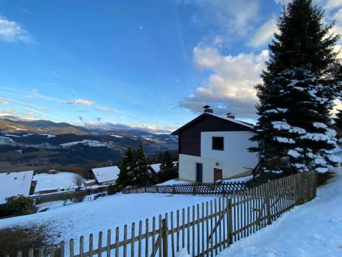 Reichenfels House | Japaner Haus