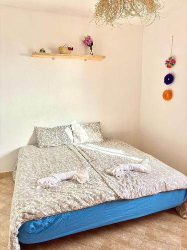 Imsouane Apartment | Jara Cimrman surf house