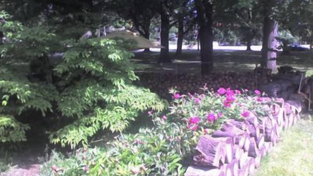 Detroit - Shoreway House | JARVIS Edgewater Park & Beach 5BD Villa
