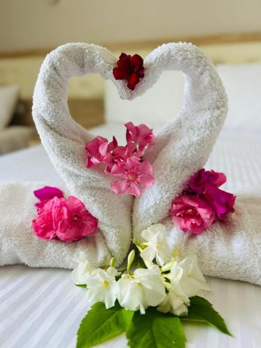 Tekirova House | jasmine otel