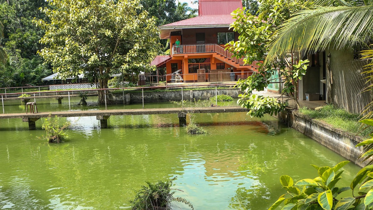 Calamba Hotel | Jconfarm