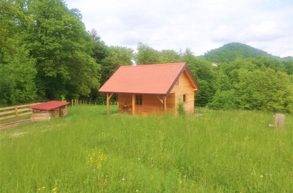 Slovenske Konjice House | Jelenova lesena hiška