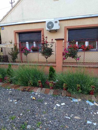 Sremski Karlovci Apartment | Jelka
